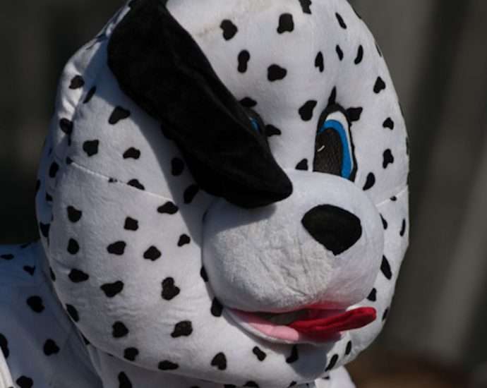 Twin Peaks Live at Riot Fest