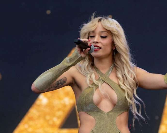 Cannons Live at Lollapalooza