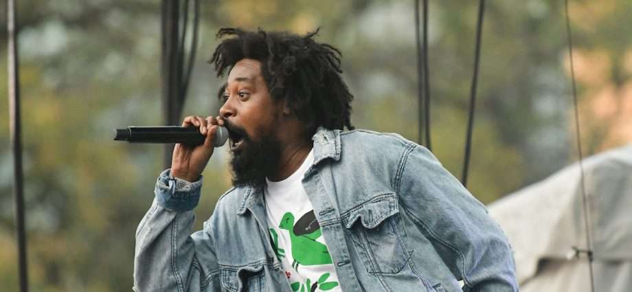 Danny Brown Live at Pitchfork