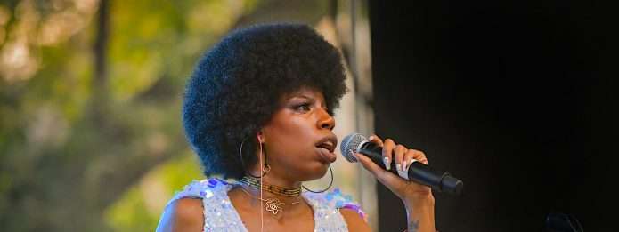 Pitchfork Music Festival 33