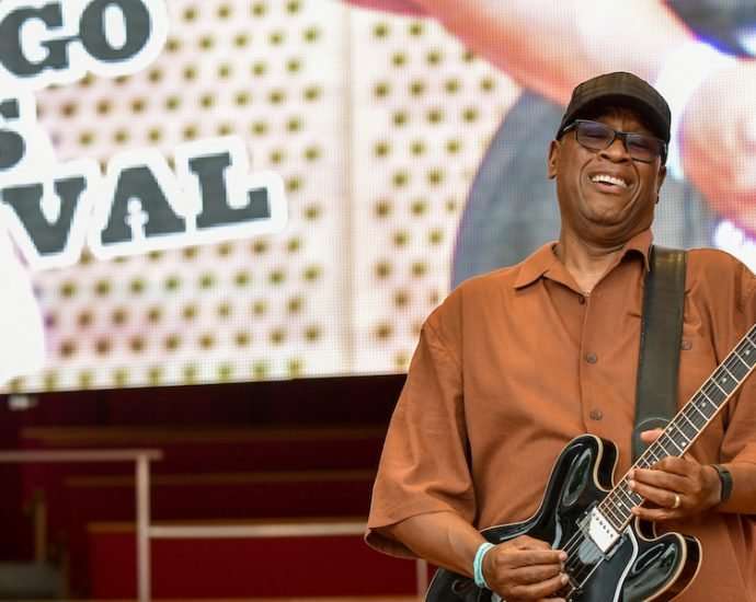 Mike Wheeler Live At Chicago Blues Fest