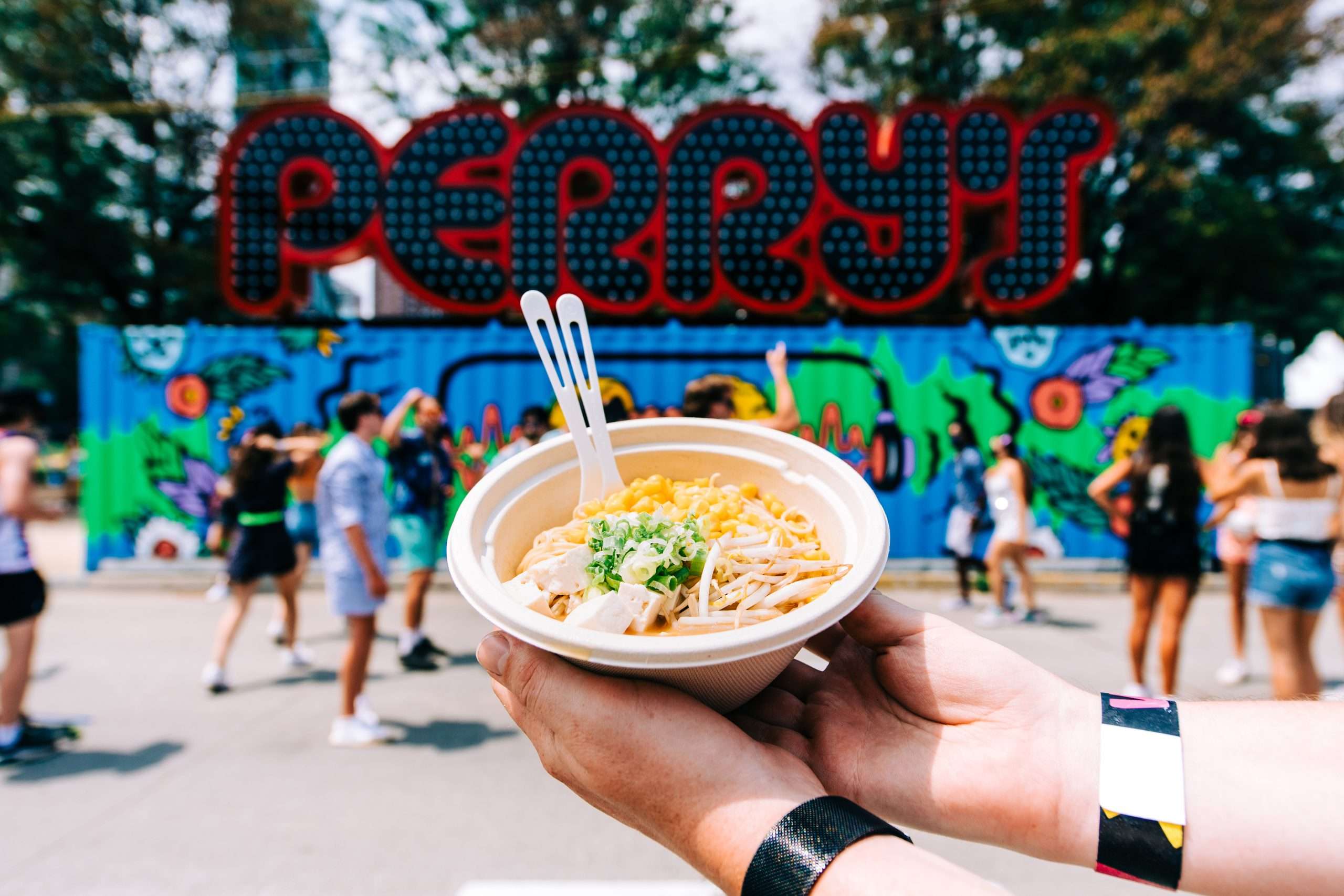 How to Survive Lollapalooza (And Have Fun Too) 1