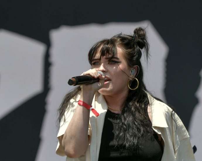 Crawlers Live at Lollapalooza [GALLERY] 1