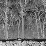 Pile Release 9th Album Sunshine And Balance Beams Via Sooper Records + Share New Video "Deep Clay" 1