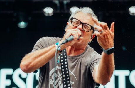 Descendents Live At Riot Fest [GALLERY]