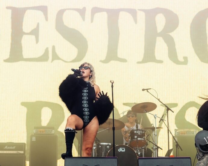 Destroy Boys Live At Riot Fest [GALLERY]