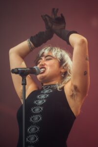 Destroy Boys Live At Riot Fest [GALLERY] 12