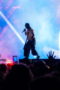 Twenty One Pilots Live at Riot Fest [GALLERY] 3
